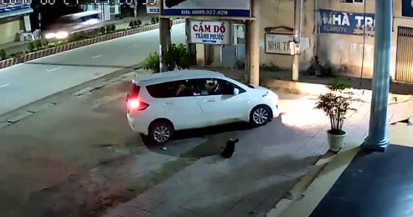 Clip: "Cẩu tặc" đi xế hộp, rút súng điện trộm chó ngay trước cửa nhà dân