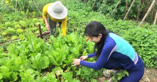 Những cánh cửa... không khóa