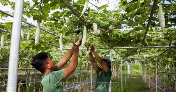 Màu xanh trên vùng biển đảo Tây Nam của Tổ quốc