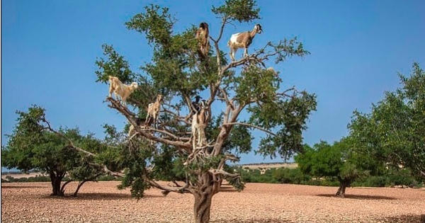 Sự thật cay đắng về điểm sống ảo thu hút triệu du khách