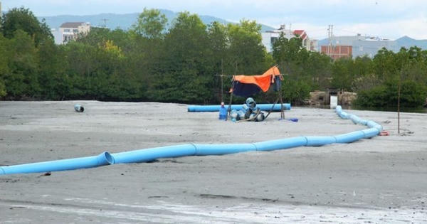 Bình Định bất ngờ thu hồi quyết định cho Công ty Thị Nại Eco Bay thuê đất