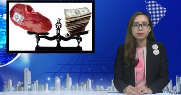 Bản tin  Pháp luật: Thủ đoạn tàn nhẫn trong đường dây mua bán thận bị công an bóc mẽ