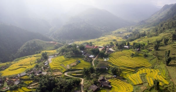 Đẹp mê hồn Thung lũng Mường Hoa vào mùa lúa chín