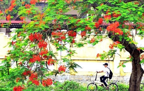 Khi tháng Năm không phải mùa hè