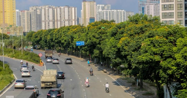 Những phố hoa Hà Nội làm xao xuyến lòng người