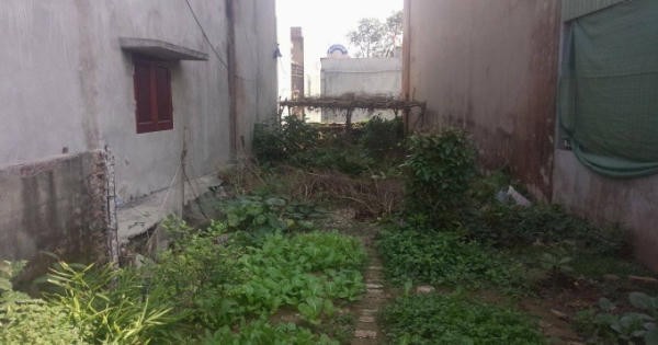 Xuân Trường, Nam Định: Tòa xác định không đúng quan hệ tranh chấp? Xuân Trường, Nam Định: Tòa xác định không đúng quan hệ tranh chấp?