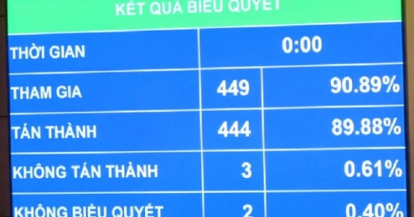 Quốc hội không đồng ý tăng tuổi trẻ em lên dưới 18 tuổi