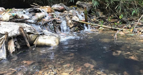 Nước sạch sông Đà đã an toàn, người dân tiếp tục sinh hoạt, ăn uống