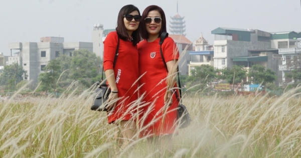Ngắm nhìn cánh đồng lau bạt ngàn mùa trổ bông trong khu đô thị Linh Đàm