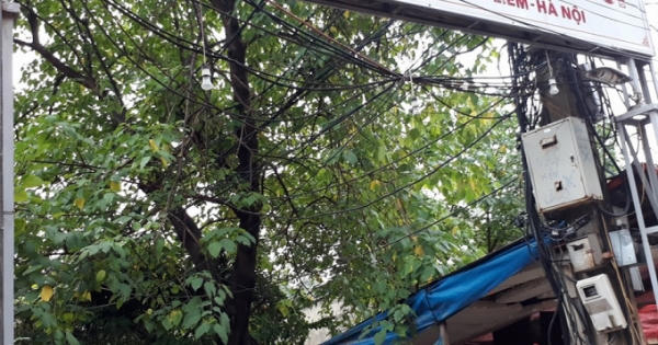 Hàng trăm hộ dân kêu cứu vì không có điện: Bí thư thành ủy Hà Nội chỉ đạo giải quyết