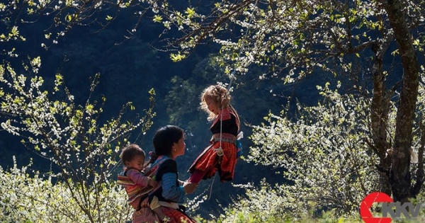 Giải ảnh 'Khoảnh khắc báo chí 2019' dành cho các phóng viên