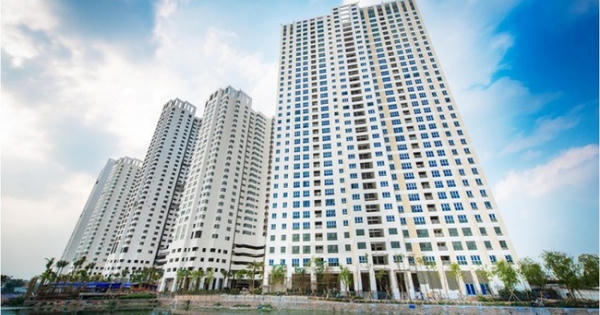 Bản tin Bất động sản Plus: Hàng loạt chủ đầu tư “bơ” kết luận thanh tra