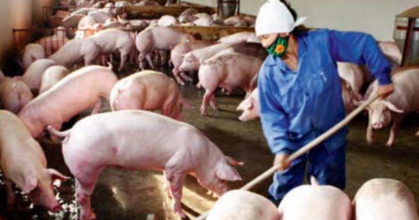 Điểm báo ngày 26/4/2017: Trung gian "ăn dày" đại lý ngắc ngoải!