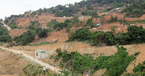 Ai đã băm nát Sơn Trà?