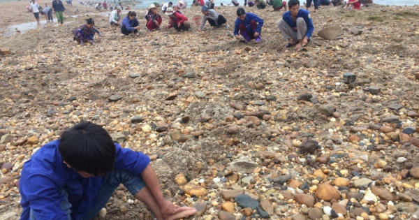 Phú Thọ: Hàng trăm người chen chúc đào bới tìm đá quý trên sông Chảy