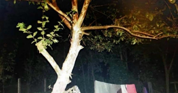 Tá hỏa phát hiện cô gái treo cổ trên cành cây tại Đắk Lắk