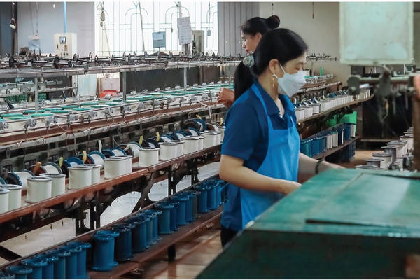 Tơ tằm Á Châu bị xử phạt do vi phạm chứng khoán