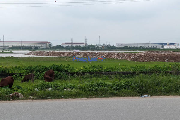 Tự ý san lấp mặt bằng, Công ty Hưng Tài Phát bị xử phạt 90 triệu đồng