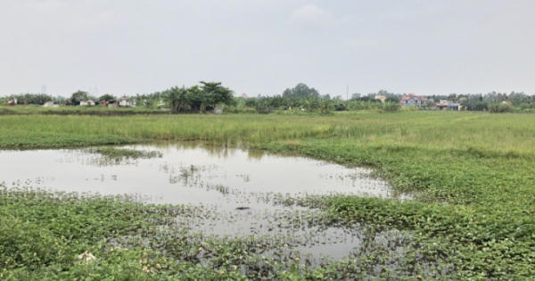 Viết tiếp bài “Nỗi oan của Hải Phòng”: 88 ha đất ruộng vùng xa bị "thổi phồng" thành “đất vàng”
