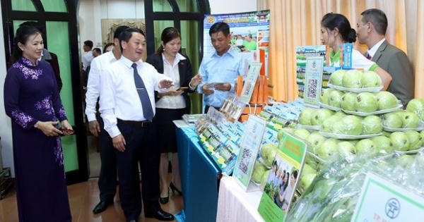 Thiếu 'đầu tàu' mạnh đưa hàng Việt tiếp cận người Việt