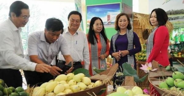 Kết nối, hỗ trợ doanh nghiệp xuất khẩu sang Hoa Kỳ