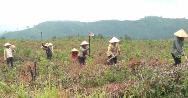 Điểm báo ngày 27/10/2016: Nóng bỏng "cuộc chiến" đất rừng