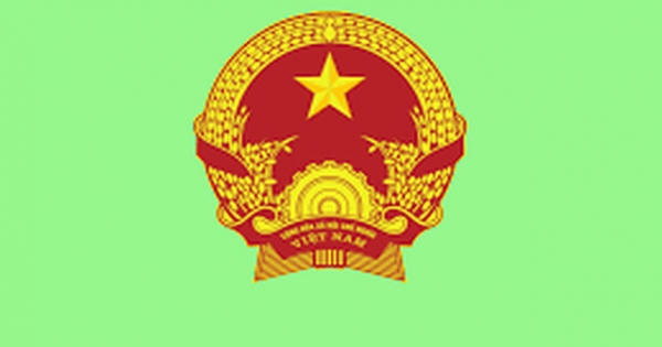 Những loại giấy tờ cần phải có khi điều khiển phương tiện ra đường