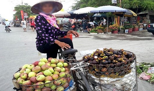 Cẩn trọng với táo Trung Quốc đội lốt táo Quản Bạ - Hà Giang