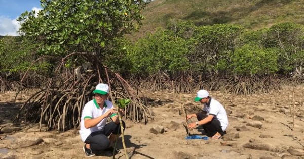 Bà Rịa – Vũng Tàu: Huyện Côn Đảo tổ chức lễ hưởng ứng ngày Môi trường thế giới
