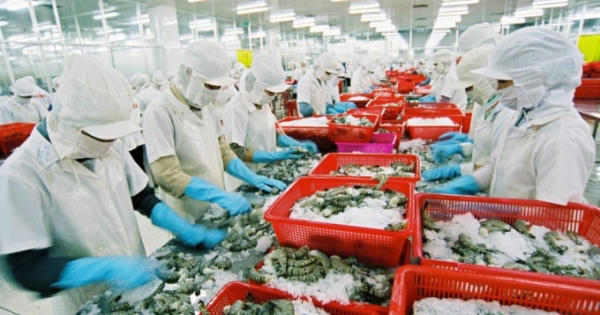 Hỗ trợ Doanh nghiệp tuân thủ quy định trong xuất khẩu thủy sản Hỗ trợ Doanh nghiệp tuân thủ quy định trong xuất khẩu thủy sản