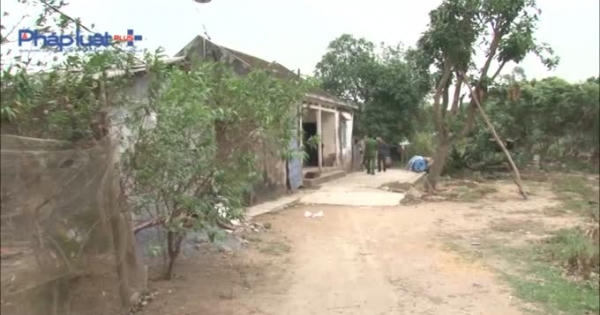 Hưng Yên:  Bắt đối tượng tàng trữ trái phép chất ma túy, thu 5 khẩu súng và gần 100 viên đạn