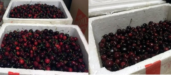 Bay từ Mỹ về Việt Nam, thùng cherry bị vơi mất 1/3