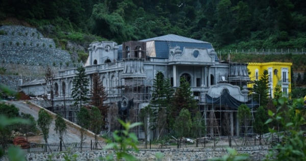 Bí thư Hà Nội nói về rừng phòng hộ ở Sóc Sơn bị 'xẻ thịt'