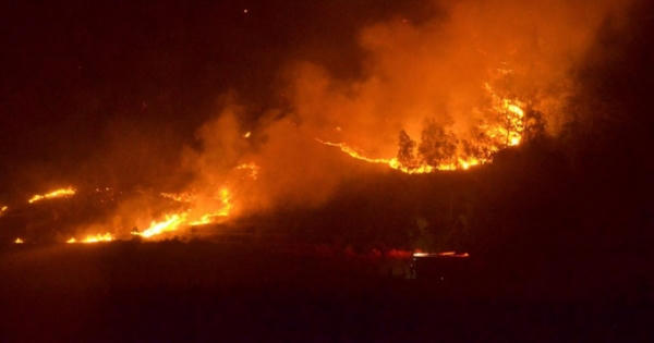 Cháy gần 100 ha rừng, hơn 2.000 người trắng đêm dập lửa