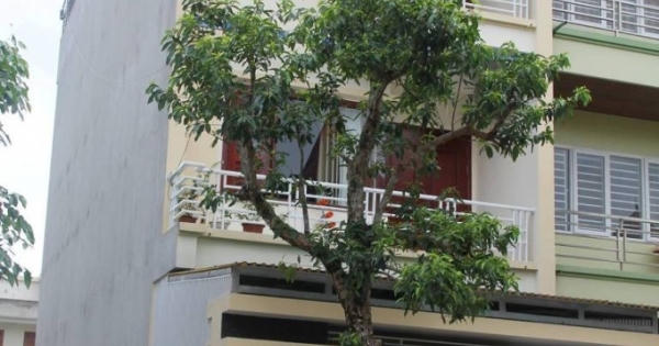 Nghệ An: Bị bắt quả tang trên chiếu bạc, ba Đảng viên bị đình chỉ sinh hoạt đảng