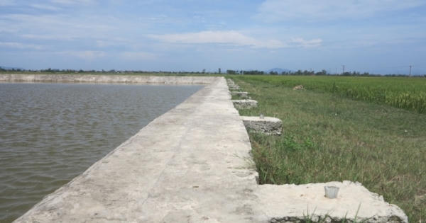 Vụ 3 học sinh chết đuối dưới hồ dự án nước sạch: Lỗi tại cái hồ nước?! Vụ 3 học sinh chết đuối dưới hồ dự án nước sạch: Lỗi tại cái hồ nước?!