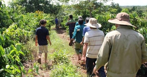 Truy bắt nghi phạm sát hại bé gái 7 tuổi lẩn trốn trong rẫy cà phê