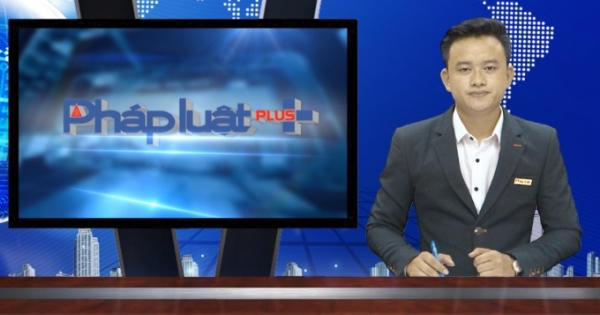 Bản tin Pháp luật Plus 13/06/2016: Khởi tố vụ án truy sát kinh hoàng tại Phú Thọ