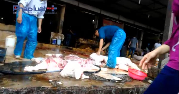 Kinh hoàng lò mổ lợn gây ô nhiễm môi trường