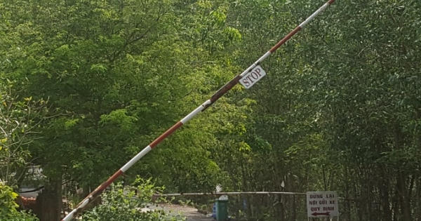 Bình Dương: Vụ gần 10ha rừng phòng hộ Núi Cậu bị cháy, doanh nghiệp "kêu" tiền hỗ trợ trồng rừng bị "ém"?