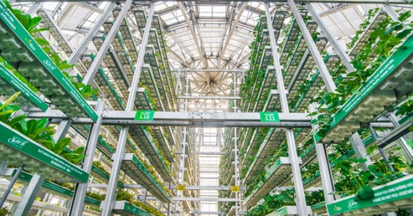 Độc đáo mô hình du lịch – nông nghiệp 5 sao đầu tiên của Việt Nam