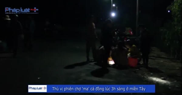 Thú vị phiên chợ "ma" cá đồng đêm tại miền Tây