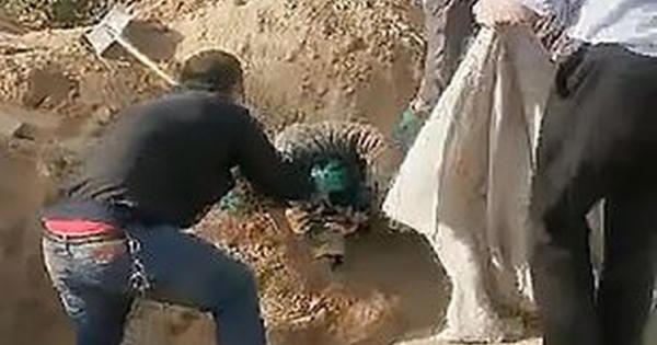 Người mẹ tàn tật sống sót thần kỳ sau 72 giờ bị con trai chôn sống