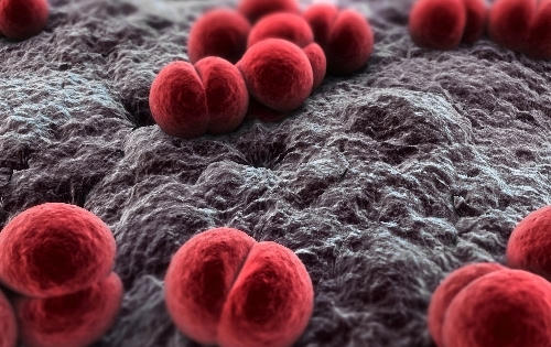 Em bé TP HCM đầu tiên tử vong vì viêm não mô cầu