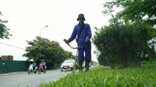 700 tỉ đồng để cắt cỏ cho toàn Hà Nội là đắt hay rẻ?