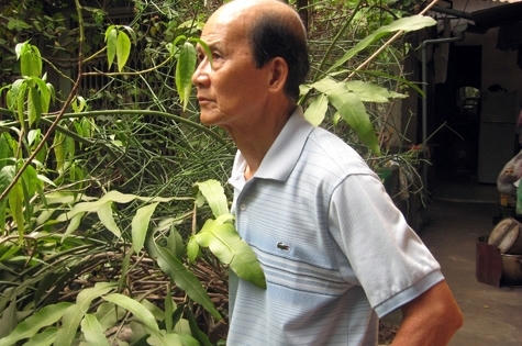 Gió mùa về nhớ bánh trôi tàu bác Bằng “hói”