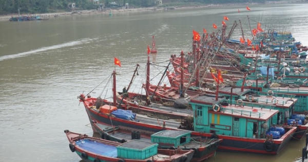 Làm gì để chống lại “giặc thủy”? Làm gì để chống lại “giặc thủy”?