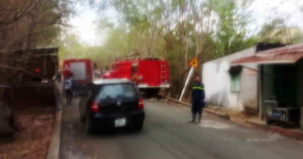 Hé lộ nguyên nhân khiến gần 10ha rừng phòng hộ ở Bình Dương bị cháy