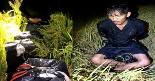 An Giang: Phát hiện, bắt giữ 2.500 bao thuốc lá lậu trên cách đồng biên giới