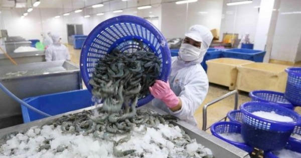 Xuất khẩu thủy sản có thể đạt 8,4 tỷ USD Xuất khẩu thủy sản có thể đạt 8,4 tỷ USD